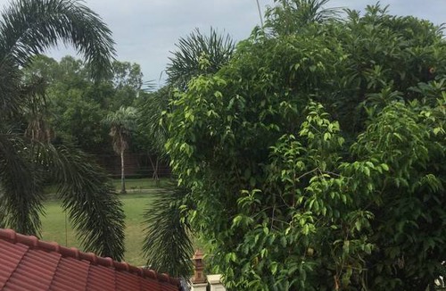 Bang Kruai Resort | Private room ∙ 1 guest