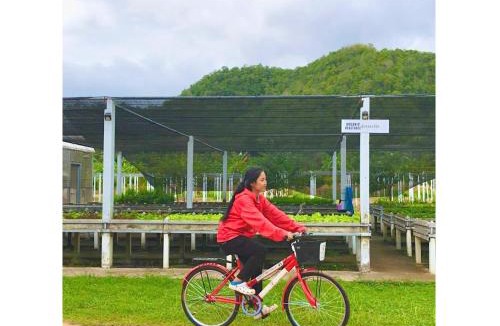 Huai Sat Yai Other | Quality Time Farmstay: Bamboo House
