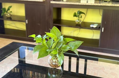 Krabi Apartment | Quiet house in Ao Nang, close to nature