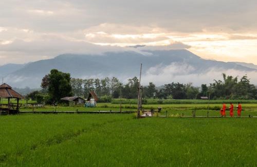 Chiang Klang Resort | Sangthong Resort at Chiang Klang