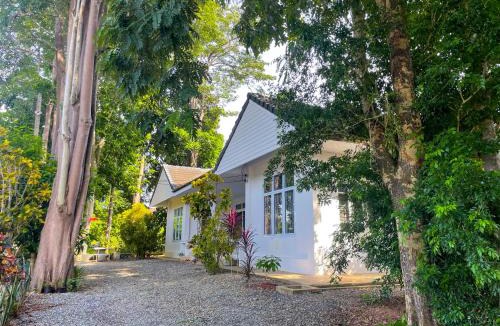 Tha Kham House | Silpasom ARTstay