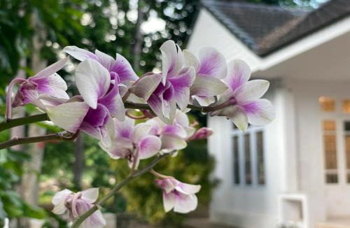 Tha Kham House | Silpasom ARTstay