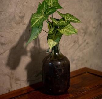 Chiang Muan Hotel | Siri'sHome