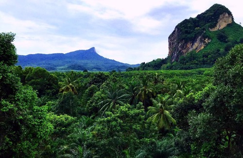 Ao Nang Apartment | Spacious apartments in beautiful surroundings. An inexpensive way to enjoy your stay in Krabi.