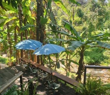 Mae On Hotel | The ForRest Peace Forest แม่กำปอง