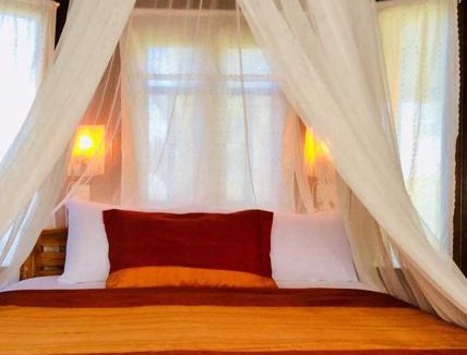 Nong Phai House | The Green Vale B&B