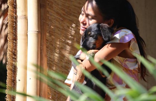 Satun Hostel | The Hostel by Sunflower Guesthouse and Animal Rescue - Koh Lipe