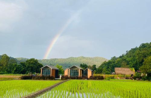 Mae Wang Resort | The Maewin Coffee & Cottage Economy Double Room
