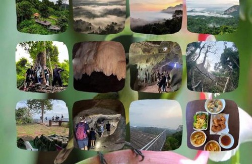 Phanom House | Toh Tao Homestay Camping