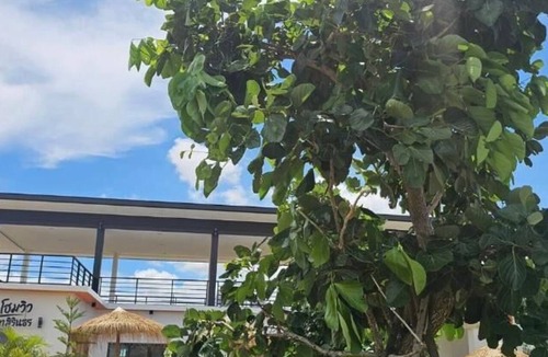 Sirindhorn Villa | U-Kham Home View At Sirindhorn
