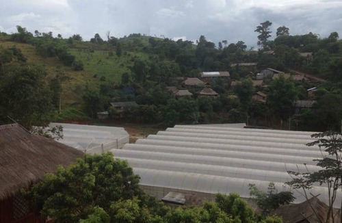 Mae Suai Hotel | Wawee Strawberry House