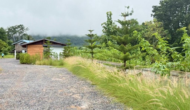 ปลายนา ผาม่าน รีสอร์ท-Plaiina Phaman Resort in Phupa Man