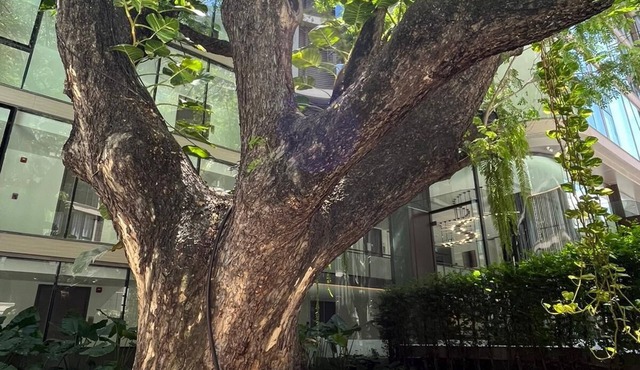 6* Luxury @ The Heart of Bangkok in the Most Exclusive Zone in Bangkok