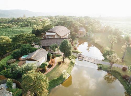 Boribot Pool Resort