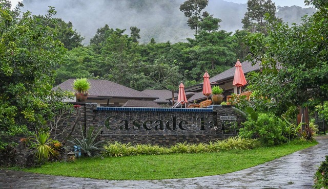 Cascade Tara