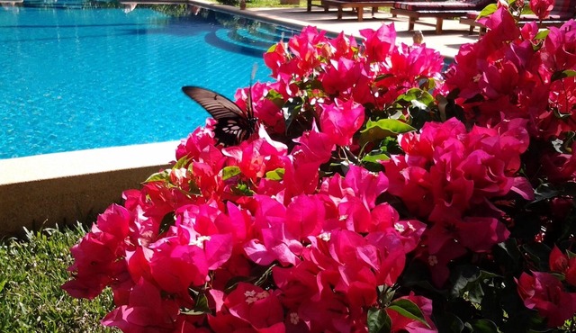 Charming and Authentic Thai Villa facing river surrended by jungle in koh samui Surathani