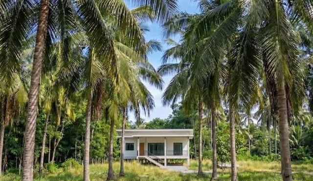 Coconut Villa | 2 Private BR | Palm View | Top Loc