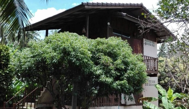 Garden Homestay in Ampawa