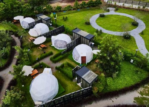 Glamping hill khaoyai