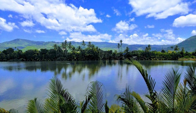 Green Mango Bungalows in Kampot