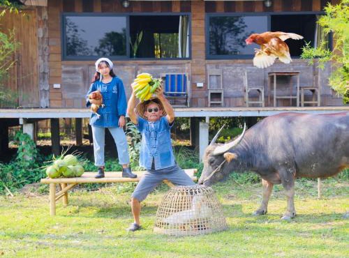 Hang Tueng farm stay Chiang Mai แฮงตึง ฟาร์มสเตย์ เชียงใหม่ in San Kamphaeng