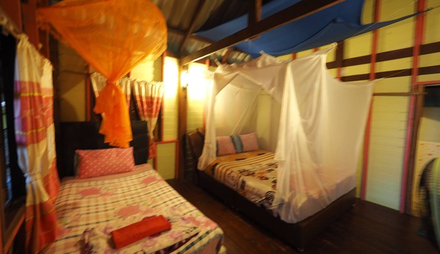 Koh Phu Valley in Nuea Khlong