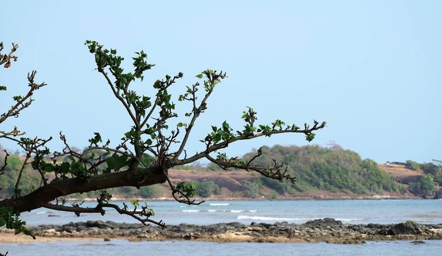 Plub Pla Koh Mak Retreat in Ko Mak