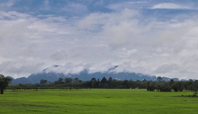 Private cozy family house, paddy field scenery in Khuankhanun