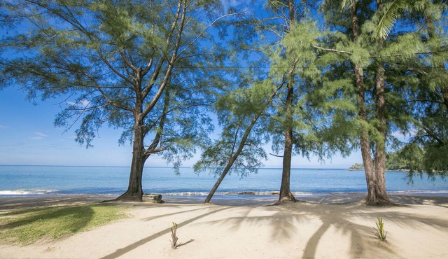 The Anda Mani Khaolak Beachfront Villas in Thai Mueang