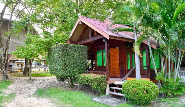 Unique Wooden Cabin