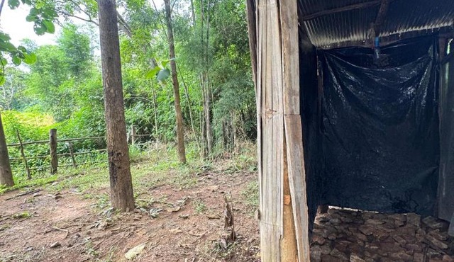 Watchara organic farm