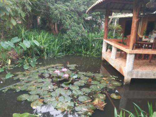 Mueang Nga Bed & Breakfast | 12 m² Bed and breakfast ∙ 3 guests