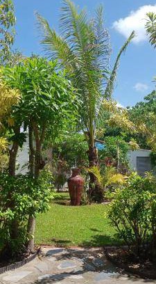 Pathio Hotel | 24 m² Hotel ∙ 2 guests