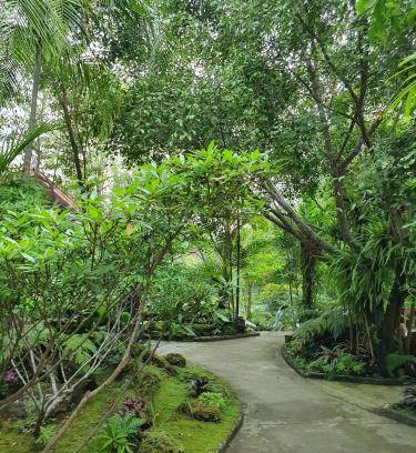 Mae Faek Mai House | 38 m² House ∙ 3 guests