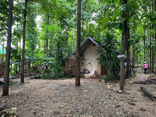 Pai Hostel | Doendin Mudbrick hostel