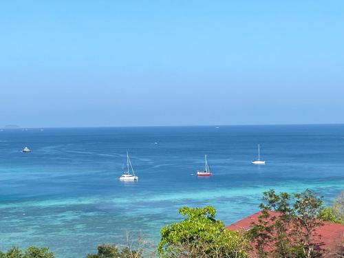 Ko Phi Phi Hostel | The view Hostel