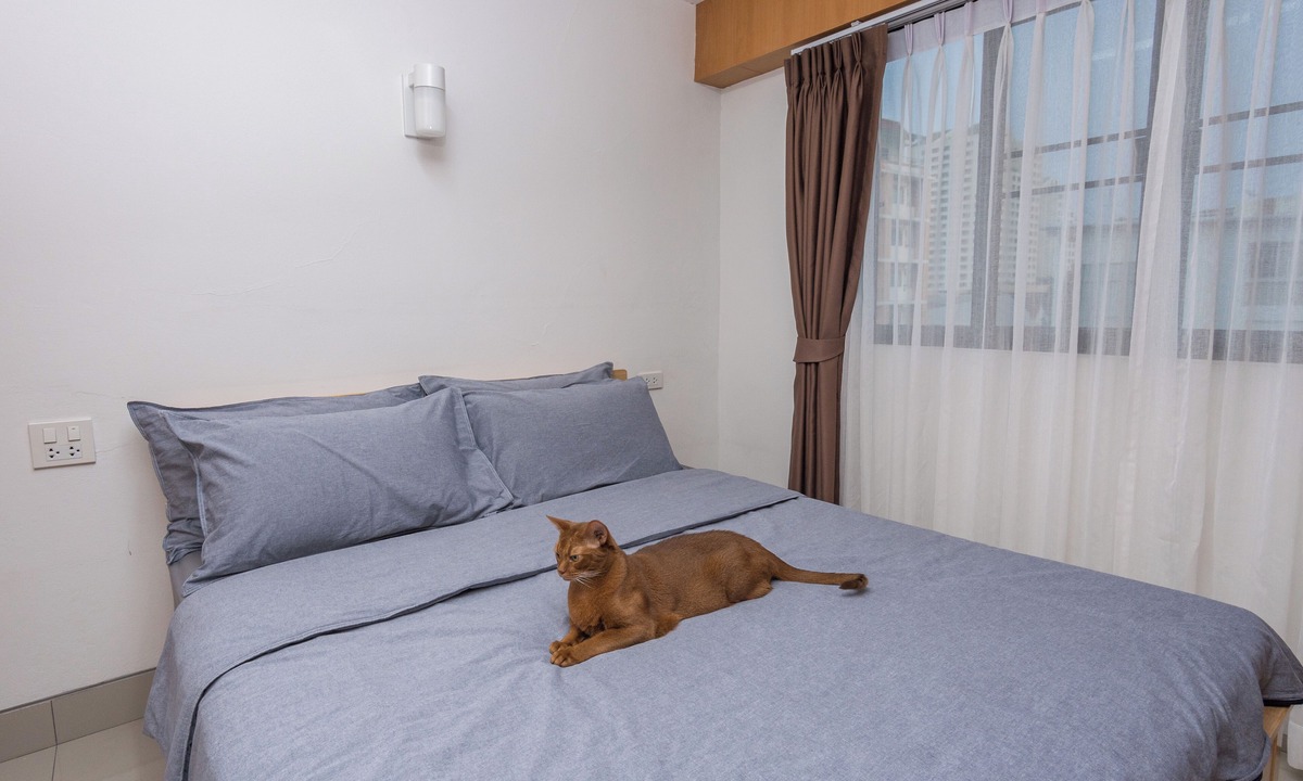 Samsen Nok Hotel | Homies Ratchada Hotel