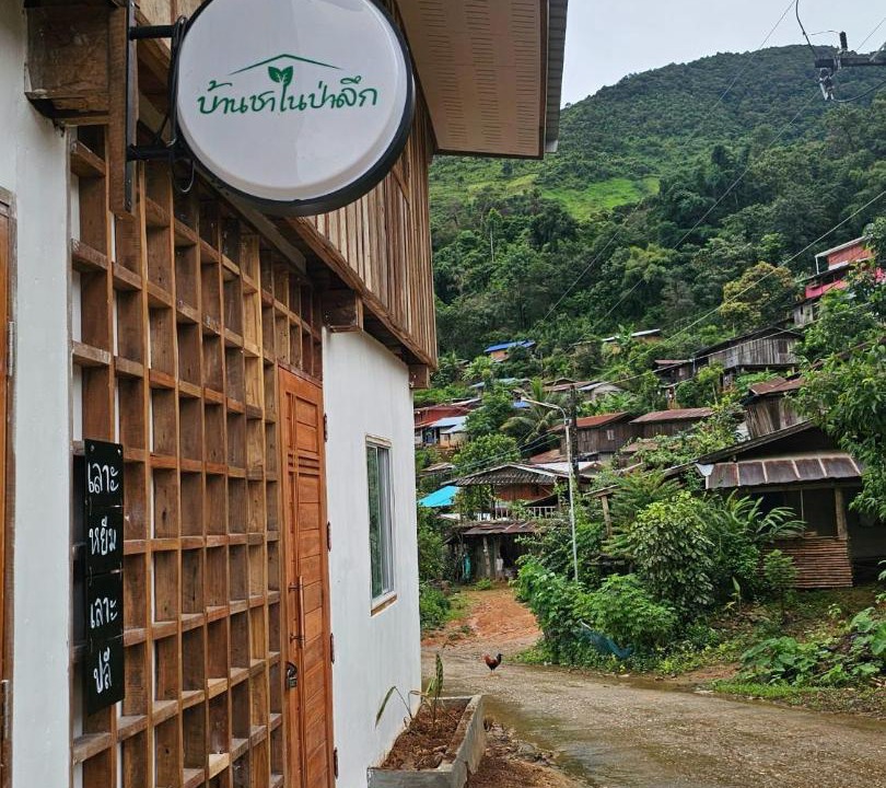 Chiang Klang House | Tea house in the jungle บ้านชาในป่าลึก
