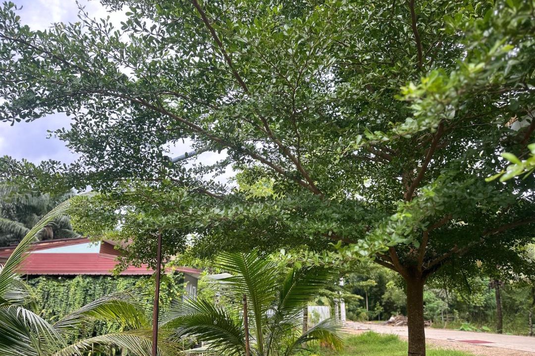 Ao Luek House | Ao Luek Hideaway