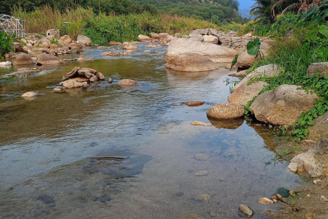Ban Na San Other | Baansuan Patooy Camping