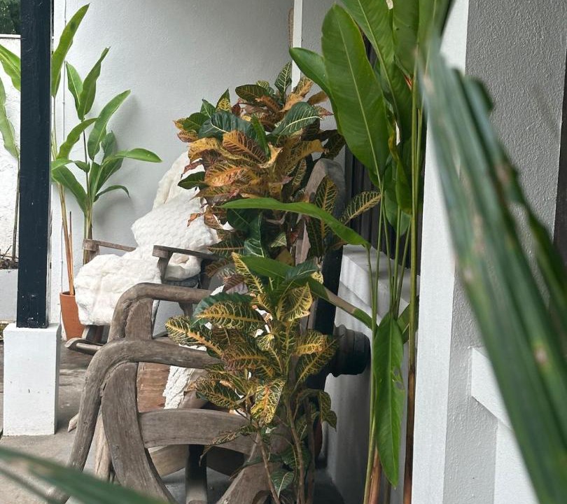 Chang Phueak House | Nimman 5mins An Pool Villa Daily Cleaning