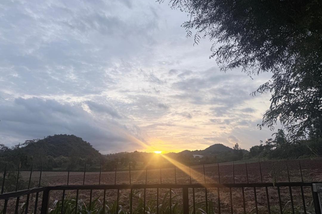 Nong Nam Daeng Bed & Breakfast | บ้านมะขามเขาใหญ่ Tamarind Cottage Khaoyai
