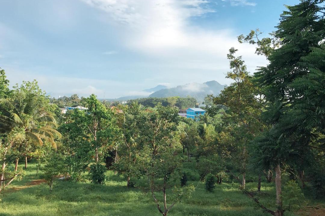 Pak Nam Resort | The Box House