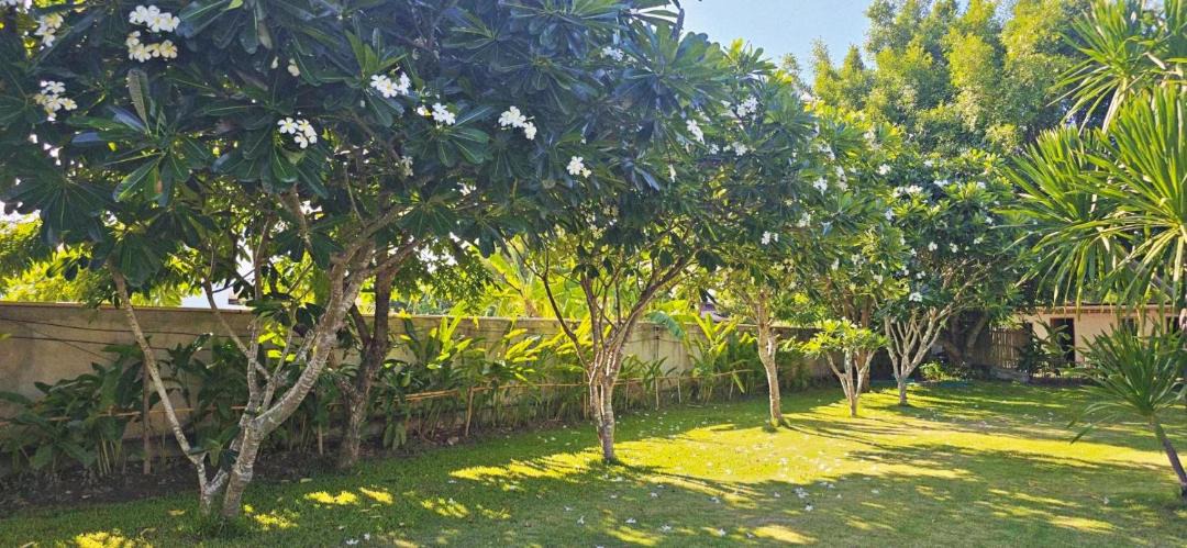 Chiang Mai Villa | 90 9 Pool Villa Chiang Mai