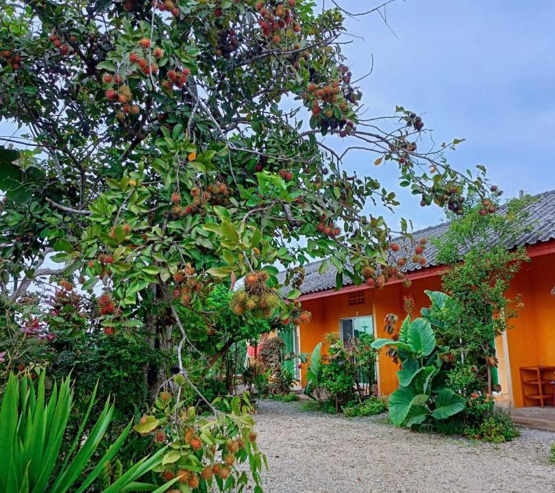 Chiang Rai Hotel | Six Nature Resort