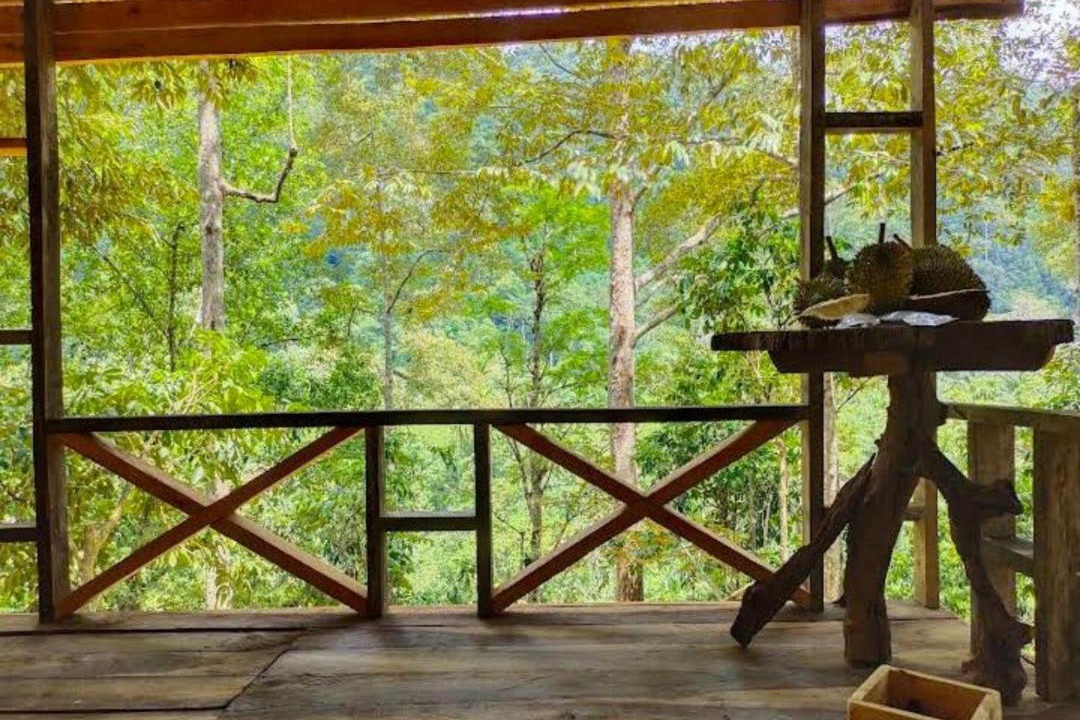 Khuan Don Other | Kuling Camping