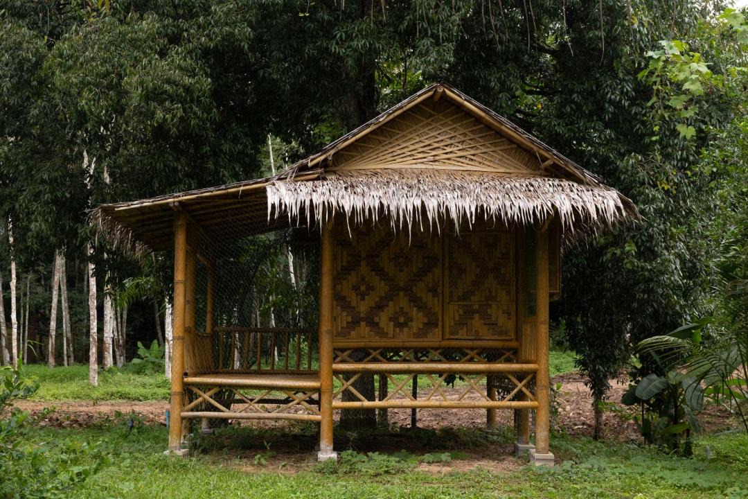 Phanom Other | Gaarawe, Khao Sok, Surat Thani Province, Thailande