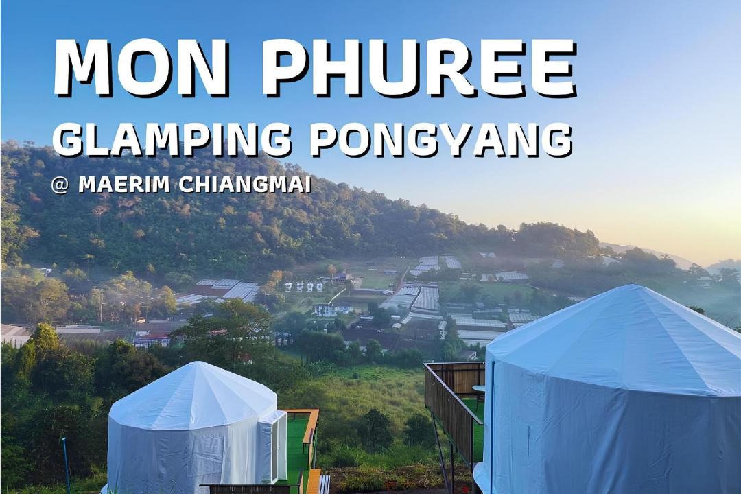 Pong Yaeng Other | Monphuree Glamping Pong-yang