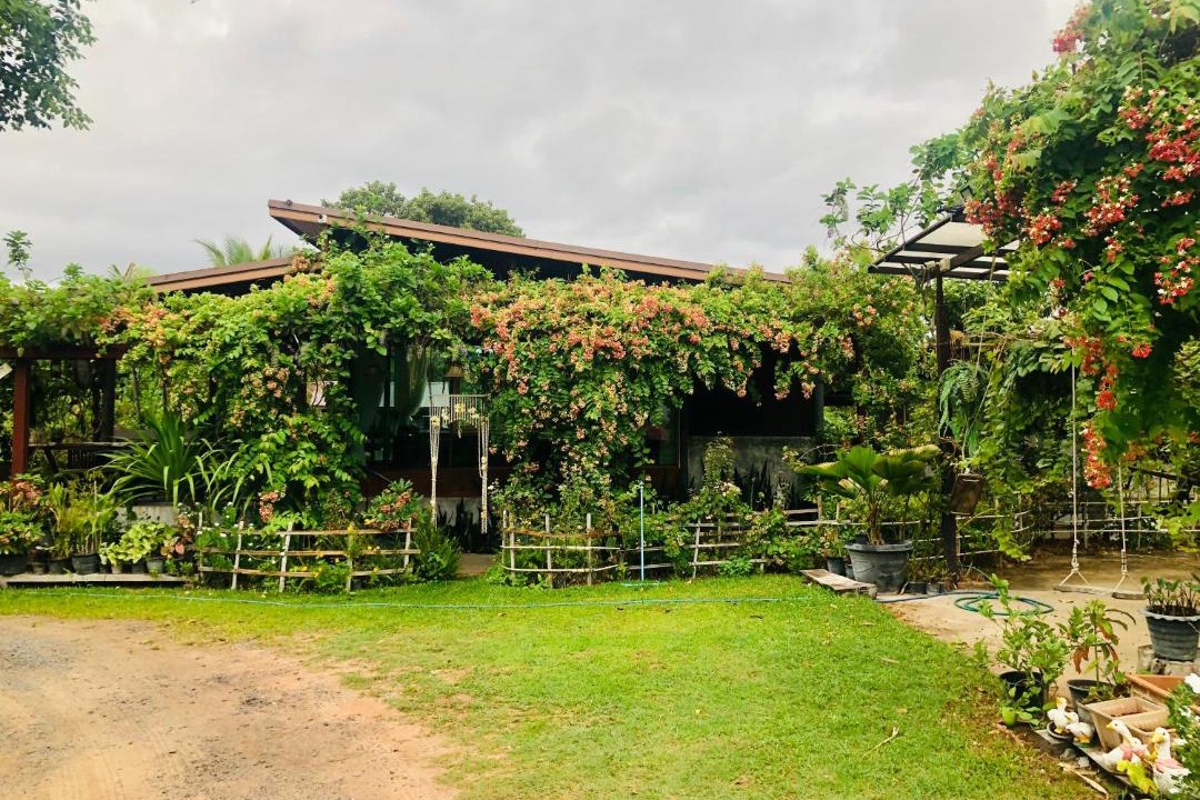 Prasat Resort | Baan Thung Home Stay