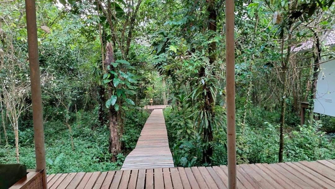 Thma Bang Resort | Rainbow Lodge